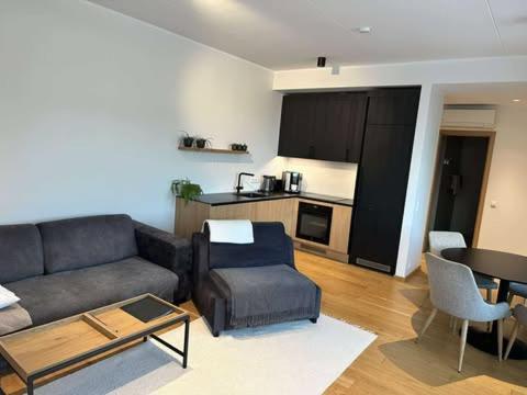 Oeoe Street Luxury Apartment With Terrace Тарту Екстер'єр фото